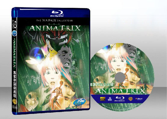 黑客帝國動畫版The Animatrix