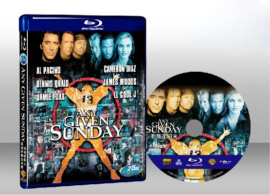 挑戰星期天 Any Given Sunday 