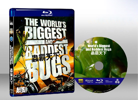 蟲霸天下 The World's Biggest and Baddest Bugs 
