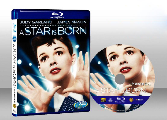 星海浮沈錄 A Star is Born 