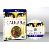 魔獸戰場 Outlander 