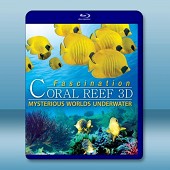 珊瑚礁的魅力：神秘的水底世界  Fascination Coral Reef Mysterious Worlds Underwater 3D 雙碟裝-（藍光影片25G） 