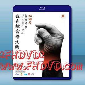 我在故宮修文物 (2016)-（藍光影片25G）