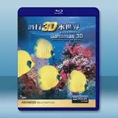 潛行3D水世界 Adventure Bahamas 3D Mysterious Caves And Wrecks 【2D+3D】 -（藍光影片25G）