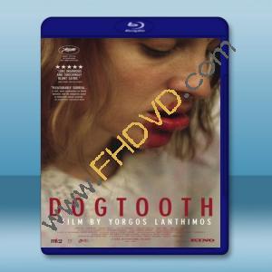  狗牙 Dogtooth / Kynodontas (2009) 藍光25G