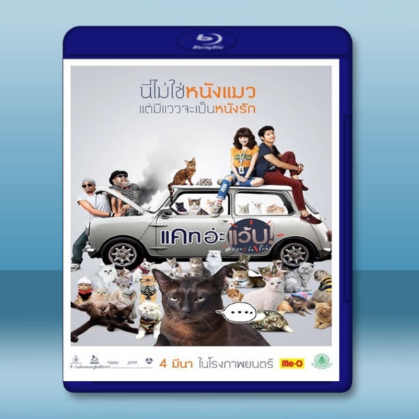  擅離職守的貓咪 <泰國> (2015) 藍光25G