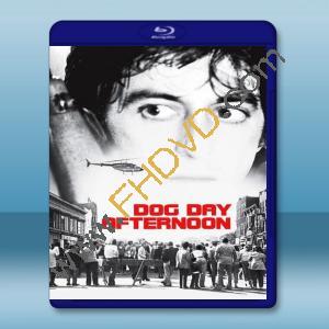 熱天午後 Dog Day Afternoon (1975) 藍光25G