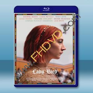  淑女鳥 Lady Bird (2017) 藍光影片25G