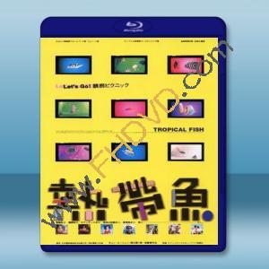  熱帶魚 (林嘉宏/文英) 【1995】 藍光25G