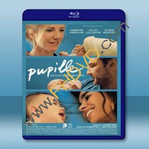  最美的相遇 In Safe Hands/Pupille (2018) 藍光25G