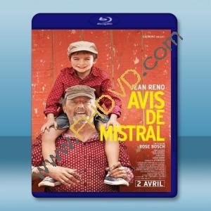  普羅旺斯的夏天 MY SUMMER IN PROVENCE/Avis de mistral 【2014】 藍光25G