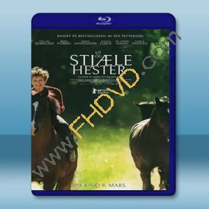  外出偷馬 Out Stealing Horses (2019) 藍光25G