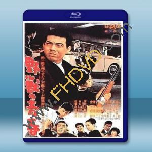  野獸的青春 <日> 【1963】 藍光25G