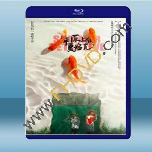  平原上的夏洛克 (2019) 藍光25G