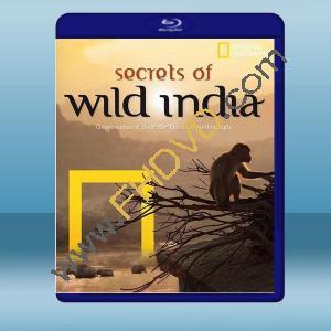  國家地理：狂野印度 Secrets of Wild India (2012) 藍光25G