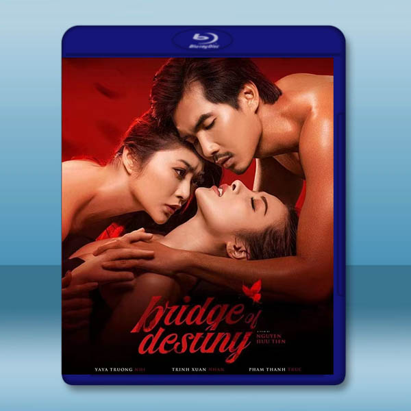  別人的丈夫 Bridge of Destiny(2020)藍光25G