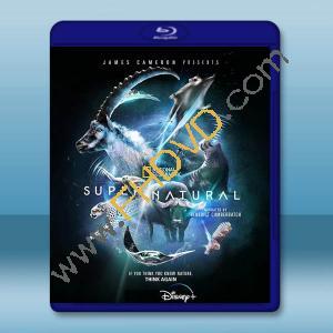  超自然 Super Natural (2022)) 藍光25G 2碟