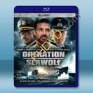  海狼行動 Operation Seawolf(2022)藍光25G