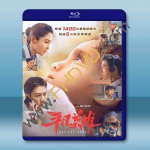  平凡英雄 (2022)藍光25G