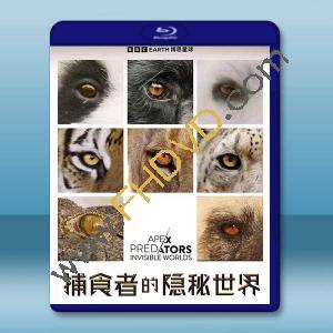 捕食者的隱秘世界 (2024)藍光25G