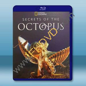 章魚的秘密 Secrets of the Octopus(2024)藍光25G T