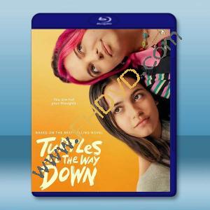 尋找無限的盡頭 Turtles All The Way Down (2024)藍光25G		 