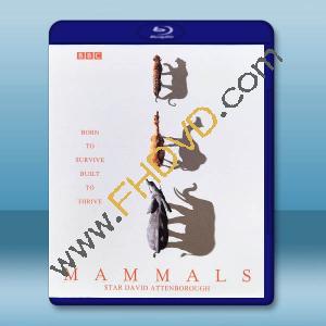 BBC 哺乳動物星球 Mammals(2024)藍光25G 2碟L		 