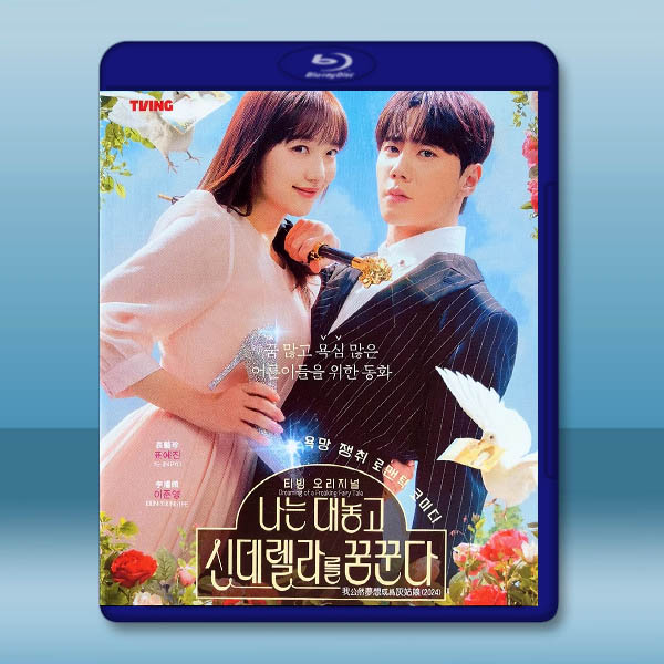 我公然夢想成為灰姑娘 (2024)藍光25G 2碟L		 