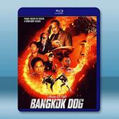 曼谷鬥犬/曼谷戰狼 Bangkok Dog(2024)藍...