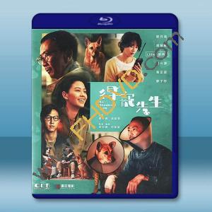 得寵先生 (2024)藍光25G		 