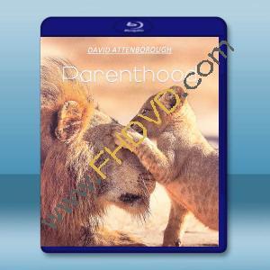 寶貝星球 Parenthood (2025)藍光25G 2碟L		 