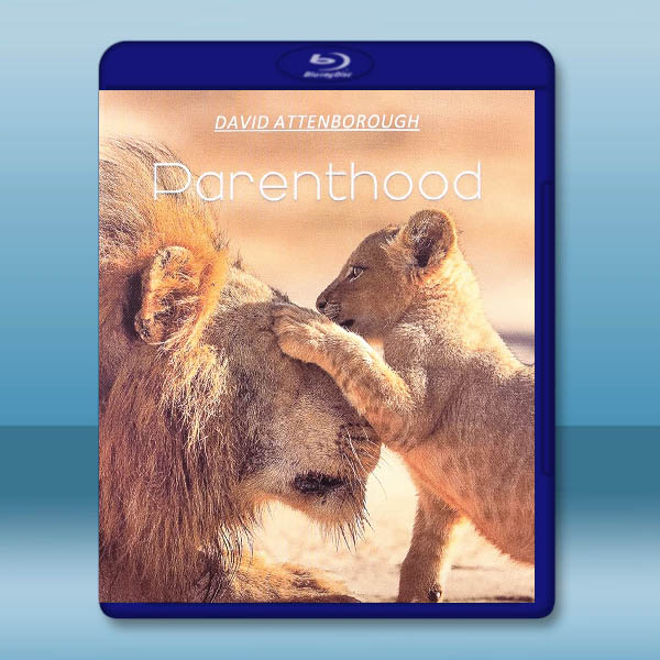 寶貝星球 Parenthood (2025)藍光25G 2碟L		 