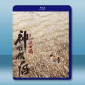 神雕俠侶：問世間 (2025)藍光25G		 