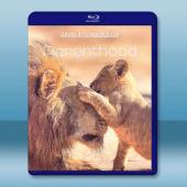 寶貝星球 Parenthood (2025)藍光25G ...