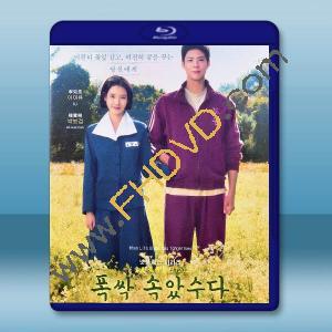 苦盡柑來遇見你 (2025)藍光25G 3碟L		 