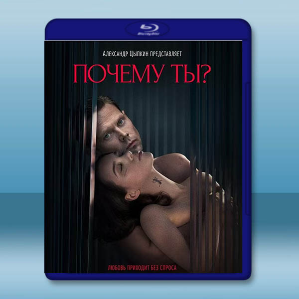 為何是你？ Sugar Baby(2024)藍光25G		 