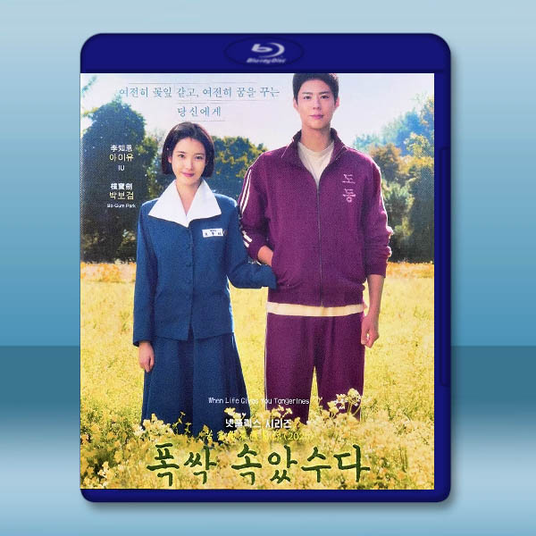 苦盡柑來遇見你 (2025)藍光25G 3碟L		 