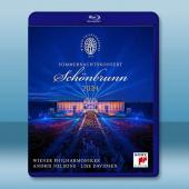 2024維也納美泉宮夏季音樂會 (2024)藍光25G		 