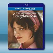 完美伴侶 Companion (2025)藍光25G		 