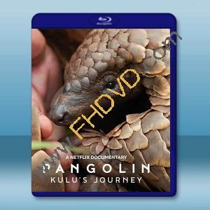 遇見穿山甲：非常療癒之旅/穿山甲Kulu的旅程 (2025)藍光25G		 
