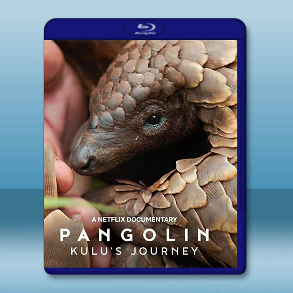 遇見穿山甲：非常療癒之旅/穿山甲Kulu的旅程 (2025)藍光25G		 