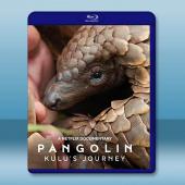 遇見穿山甲：非常療癒之旅/穿山甲Kulu的旅程 (2025)藍光25G		 