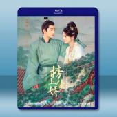 榜上佳婿（2025）【TV全集+幕後花絮】藍光25G 4碟L		 