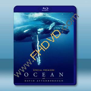 與大衛艾登堡遨遊深海 Ocean with David Attenborough(2025)藍光25G		 
