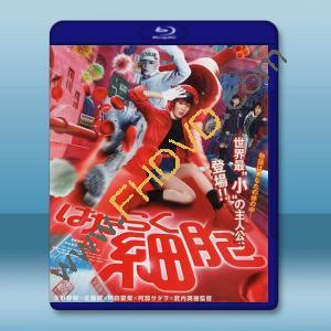 工作細胞 真人版 はたらく細胞 (2024)藍光25G		 