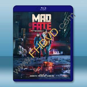 命案 (2023)藍光25G		 