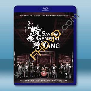 忠烈楊家將 (2013)藍光25G		 