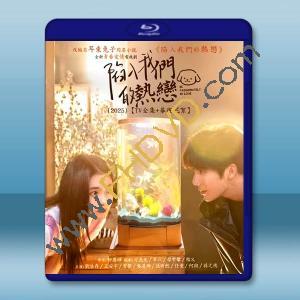 陷入我們的熱戀 (2025)【TV全集+幕後花絮】藍光25G 3碟L		 