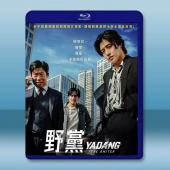 野黨 (2025)藍光25G		 