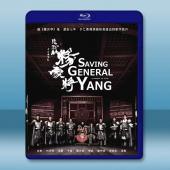 忠烈楊家將 (2013)藍光25G		 